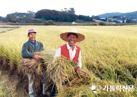 [가톨릭 쉼터] 가을햇살 붓삼아 그려진 황금들녘 농부의 웃음도 황금빛으로 물들었으면…