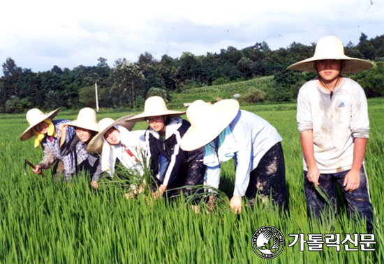 [여름 나기 기획 3] 봉사활동