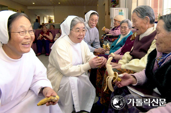 [영성의 향기를 따라서 - 수도회 탐방] 성 프란치스코 의료봉사  수녀회 - 창립과 사도직 활동