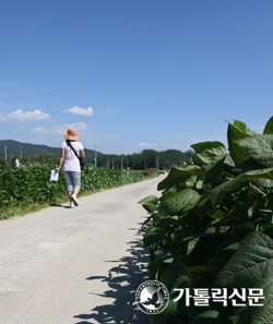 [순교자성월 특집] '걸어서 하늘까지' (3) 칠성공소에서 연풍성지까지(청주교구 도보순례)