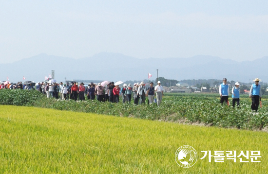 충남도청 신자 공무원 ‘솔뫼회’ 도보순례