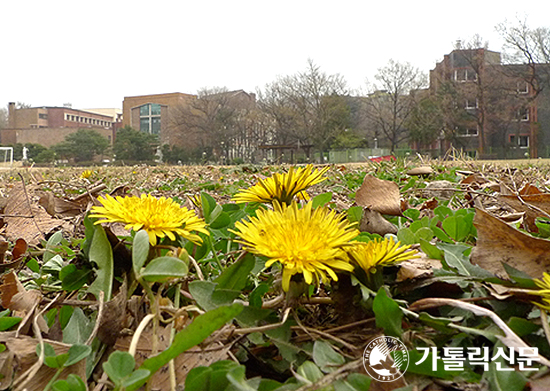 [포토 포커스] 신학교의 봄