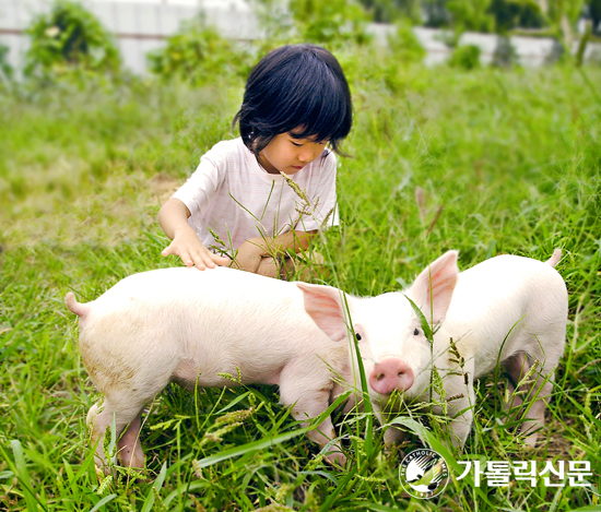 [포토포커스] 공생의 즐거움