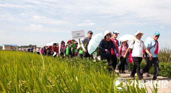 [한국평협 125위 시복시성 기원 도보순례] 화보