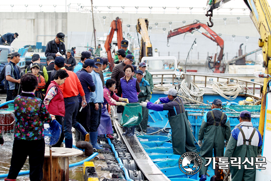 살맛나는 세상 시장사람 이야기 (2) 속초 동명항 어시장