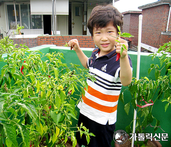 [지속가능한 생활의 지혜] (3) 에코 육아법(영유아기)