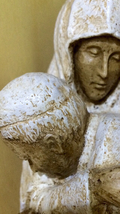 [포토에세이] 뽑힌 우리들의 삶