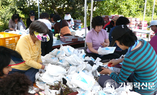 4월 11일 새 성당 봉헌식 거행하는 수원교구 안산성마리아본당