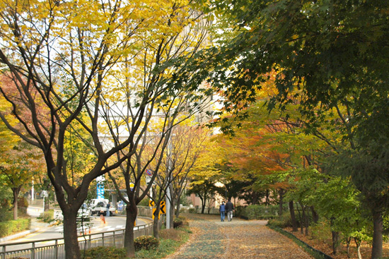 가을 산에서 누리는 영적 여정