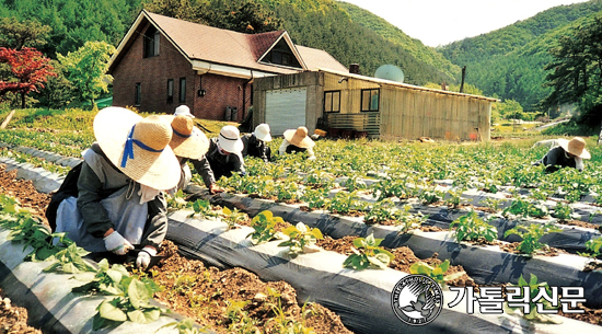 수원 수도회 이야기 (13) 말씀의 성모 영보 수녀회