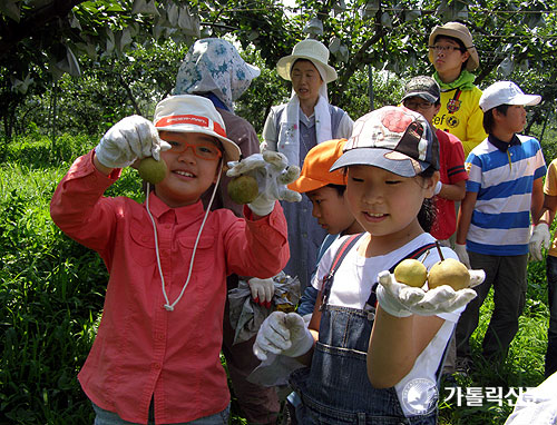 수원 율전동본당 복사단, 여름방학 맞아 인애농원서 봉사활동