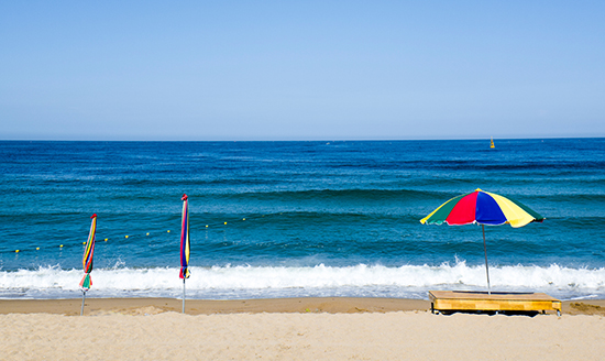 [포토에세이] 먹이고 살리시는 주님