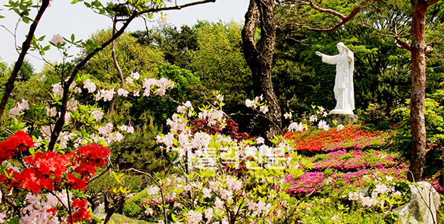 [성지의 풍경] 죽산성지