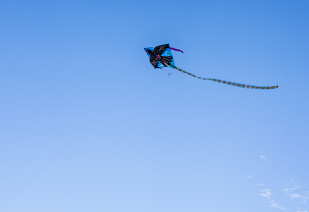 [포토에세이] 승천