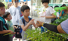 수원교구 비전동본당,  무기 장난감 교환 행사