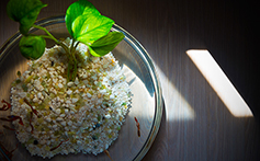 [포토에세이] 생명