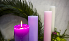 [포토에세이] 준비하고 있어라