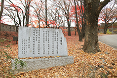 [한국 가톨릭문화의 거장들] 최민순 신부 (중)