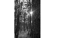 [포토에세이] 선포