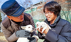 [독자마당] ‘프리’ 이야기