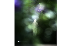 [포토에세이] 내 안에 너 있다