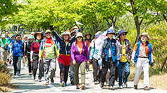 [가톨릭 쉼터] 전주교구 설정 80주년 기념 제17회 ‘요안루갈다제’ 도보순례 열리던 날