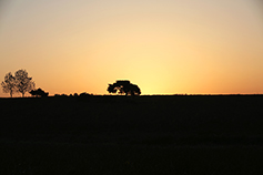 [포토에세이] 어둠을 밀어내는 새벽 빛