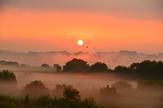 [포토에세이] 호반의 아침