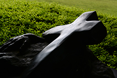 [포토에세이] 주님의 십자가로