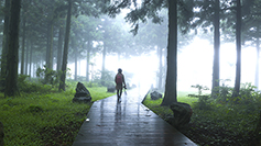 [포토에세이] 길