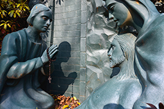 [포토에세이] 슬픔이 영광을 앞섭니다