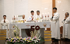 수원교구 신장본당 설립 50주년 미사