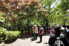 수원교구 광명본당, 전주교구 천호성지로 순례 다녀와