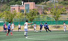 스포츠로 다지는 친교-서울·수원·의정부·부산 4개 교구 축구선교협 친선전