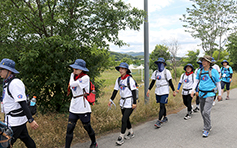 수원교구 민화위, 제18기 청년도보성지순례