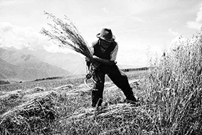 박노해 사진전 ‘단순하게 단단하게 단아하게’