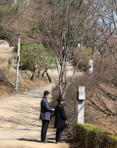 [지금, 특별한 십자가의 길] (상) 남양성모성지