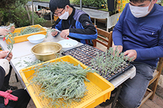 ‘다산동 마을밥상’ 참여 주민들 반찬 만들어 여려운 이웃에 전달