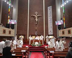 마산교구·오스트리아 그라츠-섹카우교구 자매결연 50주년 기념 미사