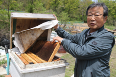 사라진 꿀벌이 보내는 경고